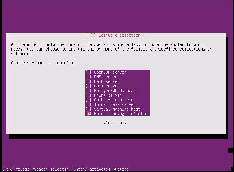 Linux Software Selections Select Manual package selection and