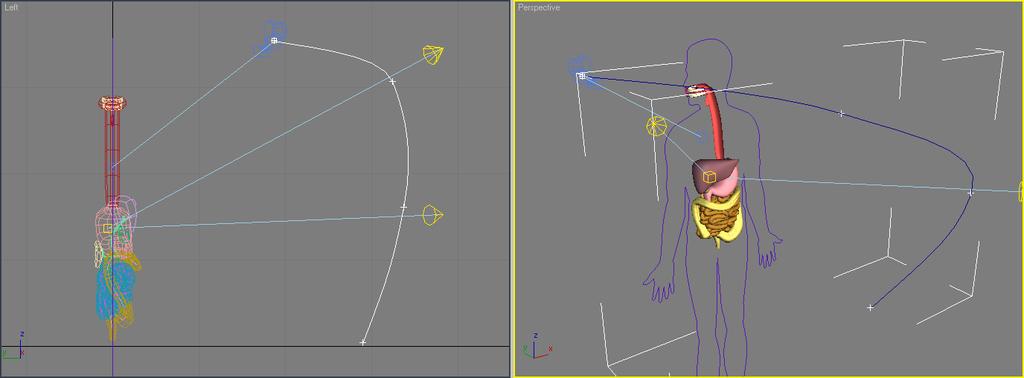 In the Top viewport, use the Line tool to create a path for the camera to follow through your scene. The first place is called the first vertex.