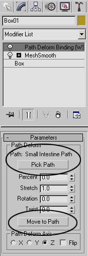 12. In the viewport navigation controls, choose Zoom Extents Selected All. 13. In the Front viewport, choose Small Intestine Path. 14.