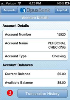 Account View Account Transaction