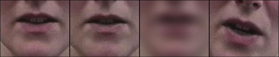 Rowan Seymour et al. 3 Video stream Face localization Mouth localization Lip/ mouth parameterization Visual features Figure 2: The general process of visual feature extraction.