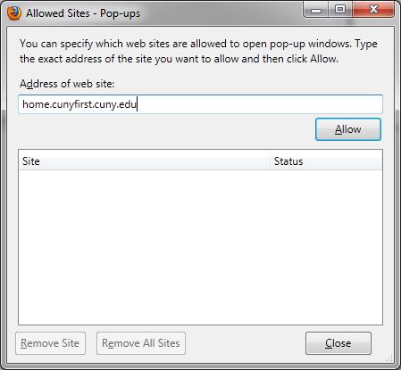 5. To add a website to the Exceptions list, on the Allowed Sites Pop-ups dialogue box in