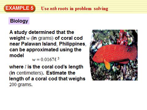 Example 5: Use nth Roots in