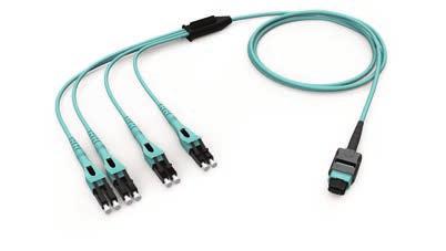 harnesses to support port disaggregation of parallel optic applications Base-8 and Base-2 harnesses for high-density switch or line card distribution Product Focus Do you want the most flexible,