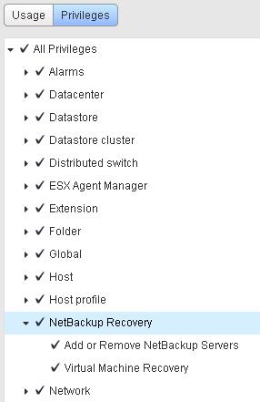 Installing the NetBackup plug-in for vsphere Web Client Configuration overview for the NetBackup Recovery and Instant Recovery Wizards 43 5 Drill into NetBackup Recovery and make sure the following