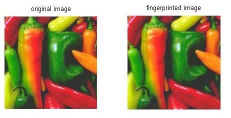 Fig.5. a) Original image b) Fingerprinted image Decomposed images are reconstructed using inverse wavelet.