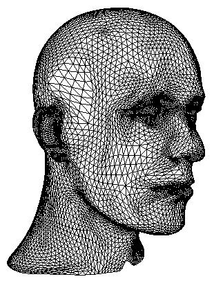 Figure 12: Surface reconstruction of the mannequin head.