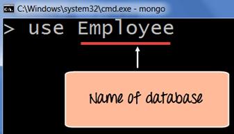 The Field Names of the document are "Employeeid" and "EmployeeName" and the Field values are "1" and "Smith' respectively. A bunch of documents would then make up a collection in MongoDB.