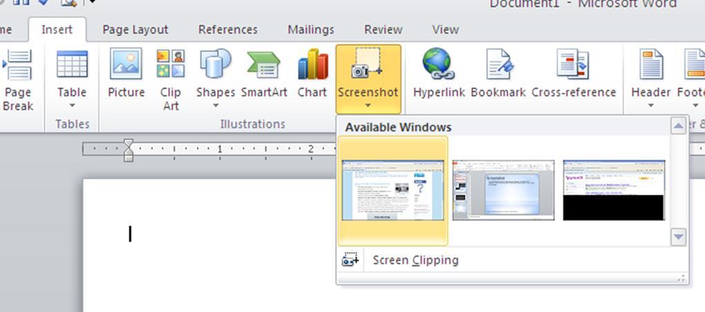 In my humble opinion this is the best new feature in the Office 2010 products. Users have the option of inserting an entire screen or just a clip of the screen.