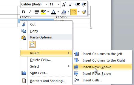 4. A new row appears above the insertion point. You can also add rows below the insertion point.