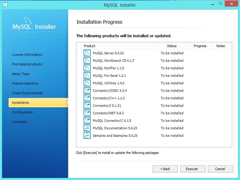 14. Start the installation process by clicking on the Execute button. 15.