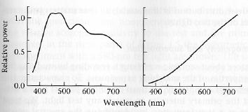 Illumination Spectra Blue skylight Tungsten bulb From Foundations of Vision, Brian Wandell, 1995, via B.