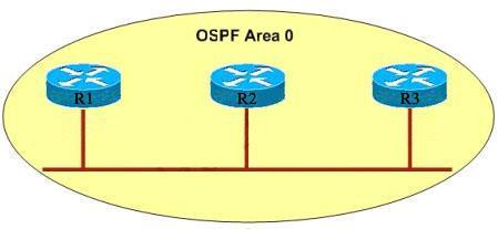 R1 is unable to establish an OSPF neighbor relationship with R3. What are possible reasons for this problem? (Choose two) A. All of the routers need to be configured for backbone Area 1. B.