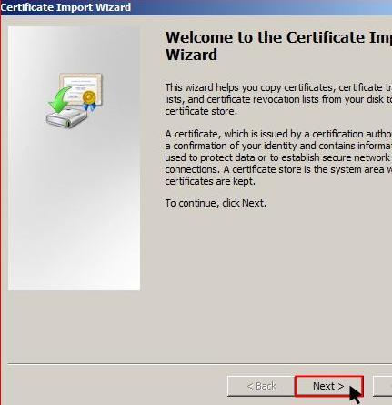 7. At the Certificate Import Wizard dialogue box, click Next 8.