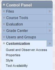 TurningPoint Blackboard Registration Tool Making the Tool Available