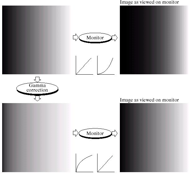 Images taken from Gonzalez & Woods, Digital Image Processing (2002) 29 Gamma Correction Many of you might be familiar with gamma correction