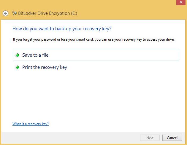 5 Select one of the following methods for the recovery key, and then click Next: Save to a file - saves the key as a file in a folder on another