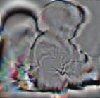 Motion Blur mage, B ntermediate result, t (result at 2th iteration) Synthetic Blur mage, B Residual Error mage, E t ntegrated errors Updated result, t1 Fig.