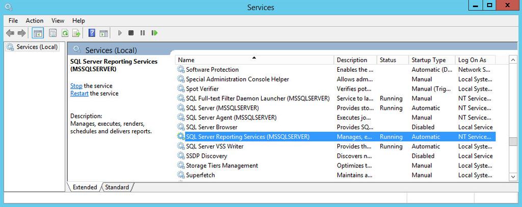 The name in parentheses is the Microsoft SSRS instance name. See "Windows Services Dialog Box" on the previous page. During the reporting feature configuration, you must enter this instance name.