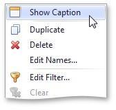 To show or hide the caption of a dashboard item, click the Show Caption button in the Design Ribbon tab.