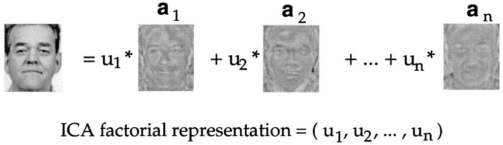 BARTLETT et al.: FACE RECOGNITION BY INDEPENDENT COMPONENT ANALYSIS 1457 Fig. 12.