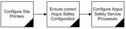 1 1Argus Safety Service Process Overview The flowchart below depicts the sequence of steps that should be followed to configure Argus Safety Service: The following table describes each of the steps