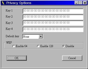 Privacy Options: By choosing this option you must define the encryption key values of your choice.