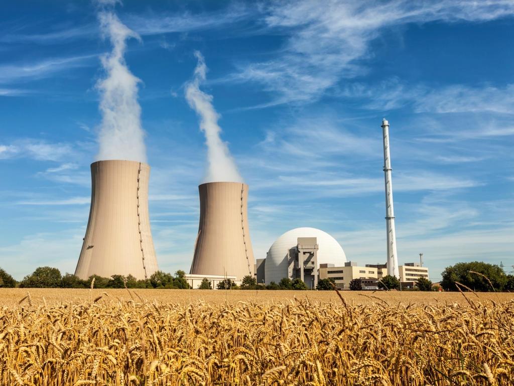 Supply Chain Services for Nuclear Power Plants: How to build and control the supply