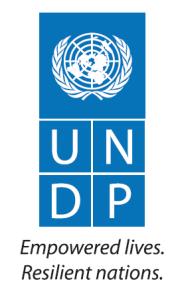 UNDP DRM Unit LEBANON Monitoring of Sendai