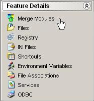 Adding the Merge Modules 1. After creating the new Windows Application installation file, select Merge Modules from Feature Details on the left sidebar menu. 2. In the right pane click the Add button.