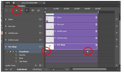14. Press the beside option Transform in the Timeline window s Pet Shop layer to activate transform keyframes. Note: this adds a keyframe at the 4 second mark.