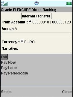 Internal Transfer Field Description Field Name Pay now Pay later Pay Periodically Setup Standing Instruction Description Click the Pay now button to process the funds transfer immediately.