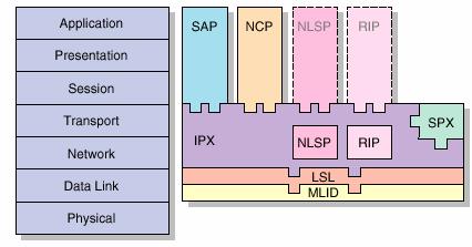 Mapping the IPX/SPX Protocol Suite to the OSI Reference Model The IPX/SPX protocols