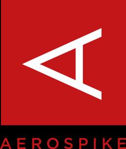 Page 3 of 14 Aerospike NoSQL Data Aerospike is an open source distributed NoSQL database optimized for flash storage to deliver speed and scalability to database applications.