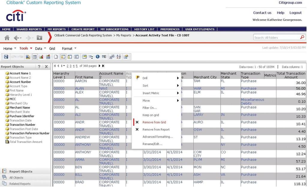 The Report Object section displays to the left of the report. NOTE: Steps 1-2 are not necessary if the Object Viewer pane already displays. Tools Menu Options 3.