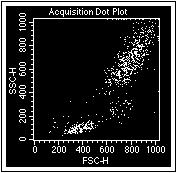 Cells after FSC threshold adjustment Beads after FSC threshold adjustment Figure 2 D.