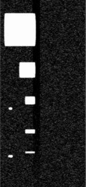 The quantitative evaluation is focused on flat bottom holes numbered 1 to 5. Tab. 1 shows measurements from the experimental radiograph and a corresponding simulation.