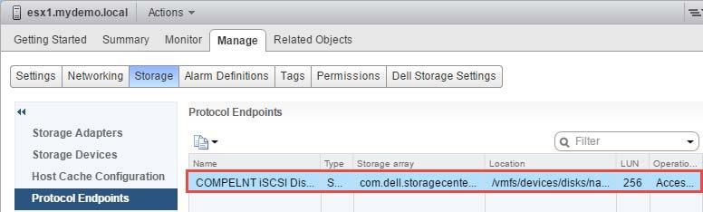 5. In the pane to the right, select the Manage tab and Storage. Highlight Protocol Endpoints.