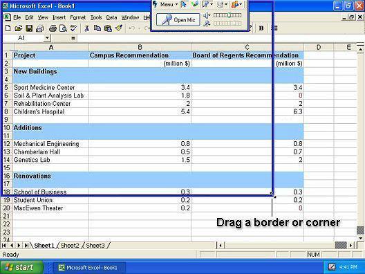 Bridgit Conferencing Software To change the shared area 1. Hover the mouse over the border until the pointer becomes a horizontal, vertical, or diagonal resize pointer. 2.