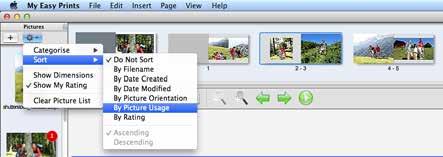 2.2. Sorting Pictures Pictures can be sorted within the library, whether they are categorised or not. This can be done by selecting the Settings icon and selecting Sort from the drop down list.