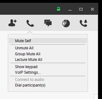 MUTE/UNMUTE PARTICIPANTS Click the voice icon next to the participant s name on their business card to mute or unmute that participant. To mute/unmute all participants at once, click Mute/Unmute All.