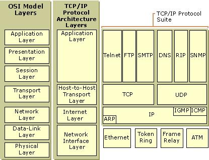 TCP/IP Protocol Layers (from