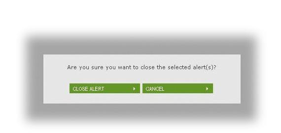 section 4 viewing purchase orders and alerts VIEWING ALERTS In order to continue you must either Close the alert(s) or Cancel.