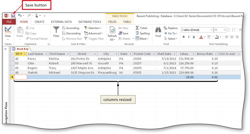 Resizing Columns in a Datasheet