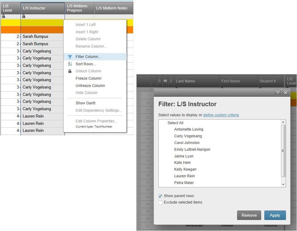 Filter: Choose Filter Column from the same drop-down menu and select what information you would like displayed.