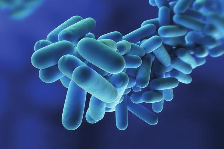 Legionella UK Proficiency Modules (P) These qualifications are ideal for personnel working in a specialist area at a practical level: With responsibility for managing legionella risk in premises.
