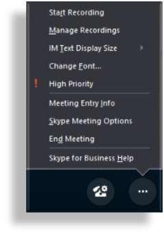 Recording an Online Meeting Presenters can record meetings While in an ongoing meeting, navigate to the conversation window. Click the Options button to start and manage recordings.