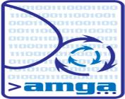service AMGA provides: Access to metadata