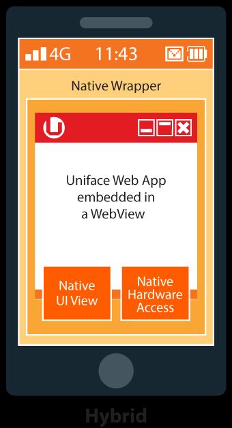 WebView Package application Remove decoration (URL bar)