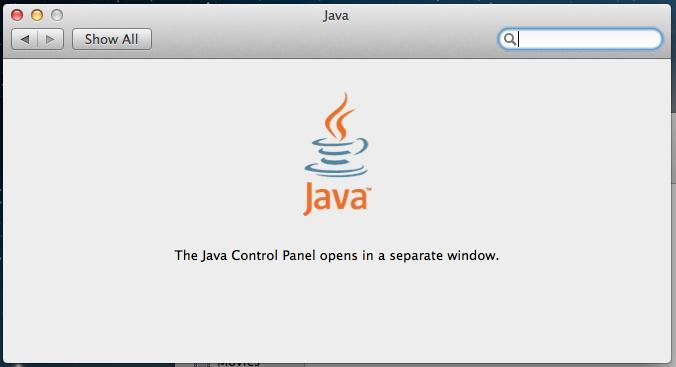 3. Wait for Java